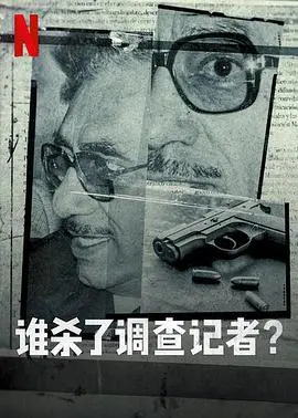 《谁杀了调查记者》深度解析:真相迷雾与正义的追寻